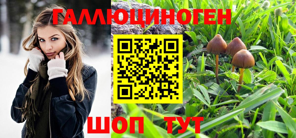 Галлюциногенные грибы Psilocybe  Вход с VPN  Артёмовский 